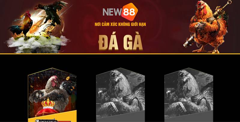 Hình minh họa — Ww88